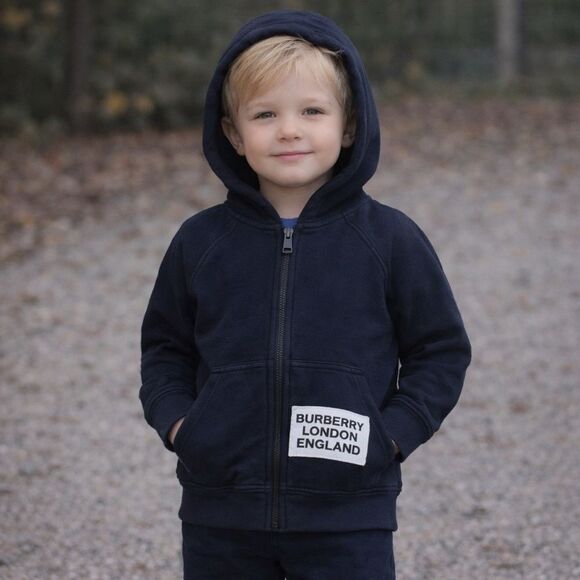 Burberry Other - Burberry Luther Full Zip Hoodie Sweatshirt